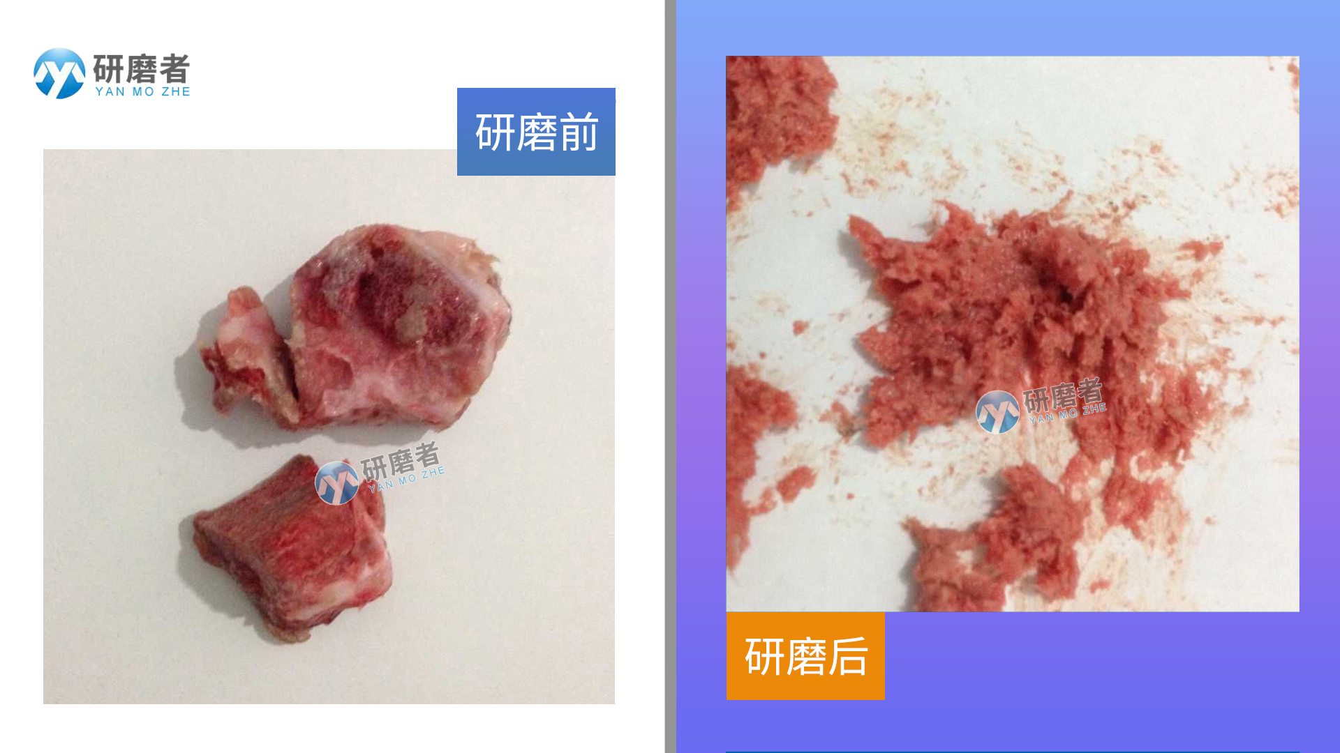 冷冻组织研磨仪研磨图