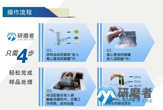 叶绿素A研磨仪的实验操作步骤